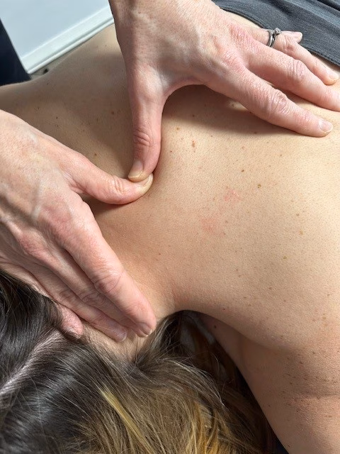 Neck Back Pain converted