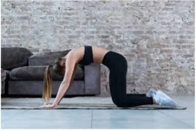 The Lower Back Basics – Feb 2024 Blog 1 Cat Cow Stretch 1920w