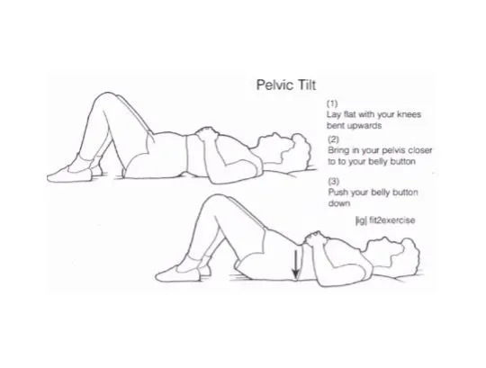 The Lower Back Basics – Feb 2024 Blog 3 Pelvic Tilts 1920w